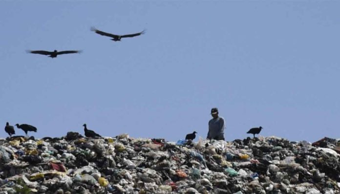 Giornata Mondiale dell’Ambiente 2025 plastica