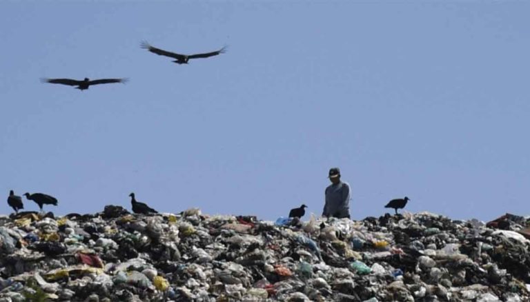 Giornata Mondiale dell’Ambiente 2025 plastica