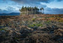 Clima, mobilitazione europea a difesa del Programma Life Clima, mobilitazione europea a difesa del Programma Life