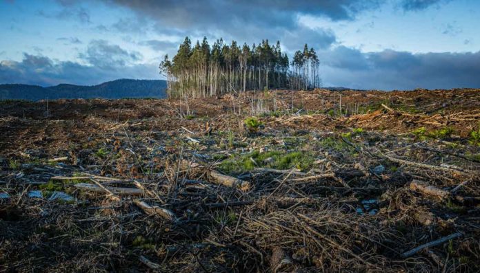 Resilienza climatica Europa