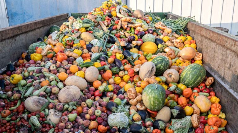 Prevenire lo spreco alimentare per combattere l’eco-ansia, sondaggio Waste Watcher