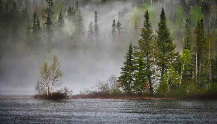 Wwf legge OECM biodiversità Italia