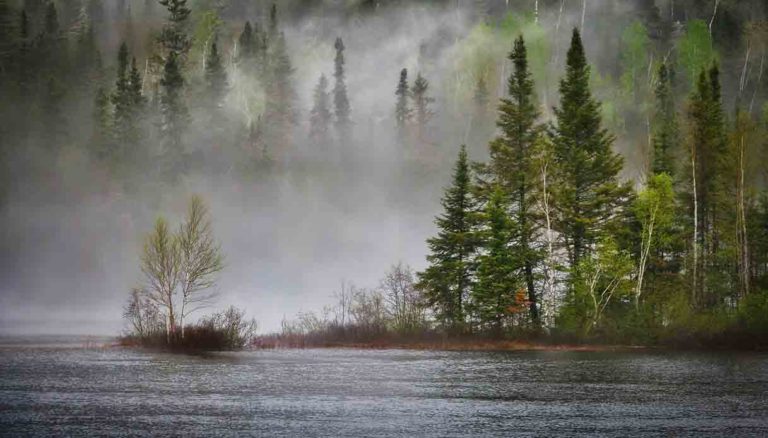 Wwf legge OECM biodiversità Italia