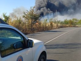 Incendi a Roma: roghi in diversi municipi
