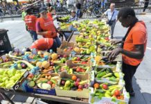 Libro bianco sulla donazione di eccedenze alimentari: cause, impatti e contrasto allo spreco alimentare in Italia