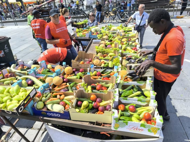 Libro bianco sulla donazione di eccedenze alimentari: cause, impatti e contrasto allo spreco alimentare in Italia
