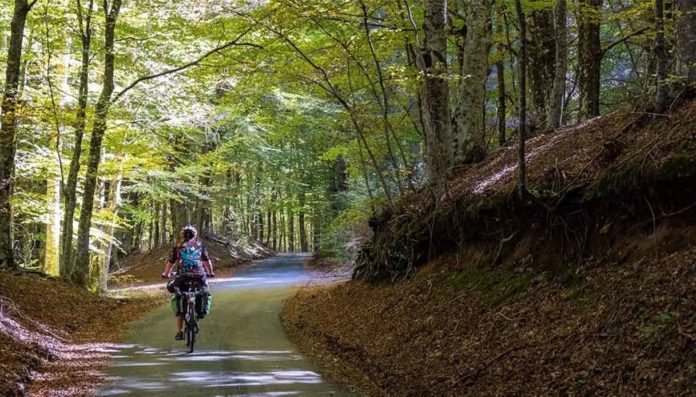 Calabria Ciclovia Parchi sostenibilità