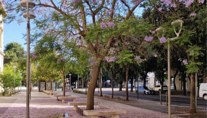 Lecce adottare aree verdi pubbliche