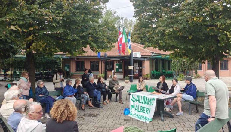 Torino petizione alberate trasporto pubblico