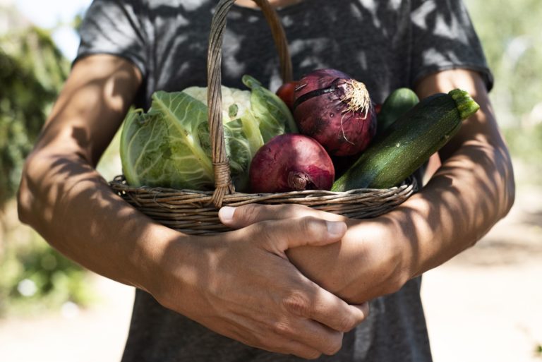 Slow Food e Rete Comuni Sostenibili insieme per sostenibilità ambientale, sociale e alimentare