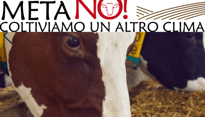 Legambiente Lombardia, con la campagna MetaNo: ridurre le emissioni agricole e zootecniche per contrastare smog e crisi climatica