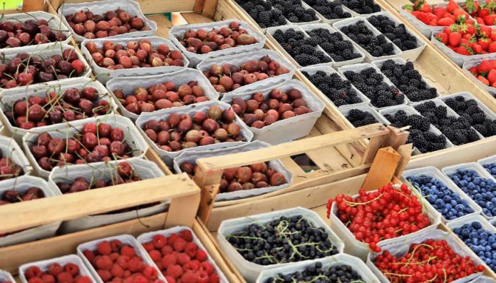 Giornata Mondiale Alimentazione 2025