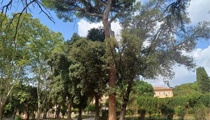 Greenitaly Parma strategia verde Roma