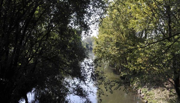 Milano Parco Lambro 800 nuove piante Legambiente