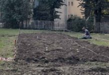 Milano, al via la fitobonifica del Parco Simoni per un risanamento naturale dei terreni Milano fitobonifica Parco Simoni risanamento terreni