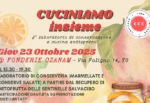 CCC: Cibo=Cultura=Capitale, 7° appuntamento giovedì 23 ottobre a Torino CCC: Cibo=Cultura=Capitale