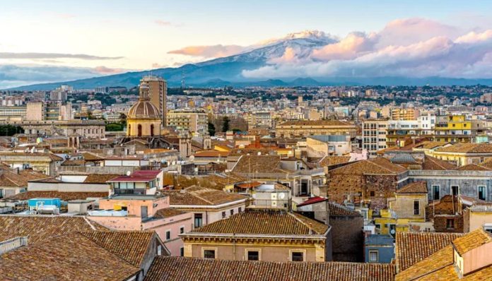 WhatsApp Image 2025-10-29 at 09.46.56