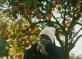 A Roma il documentario “Meet the pickers” sullo sfruttamento nei campi europei Roma documentario Meet the pickers