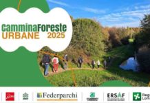 Cammina Foreste Urbane 2025: al via l’ottava edizione di Ersaf e Legambiente Lombardia Cammina Foreste Urbane 2025