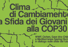 Giovani e Cop30, il 24 novembre confronto a Roma tra ong e associazioni Giovani COP30