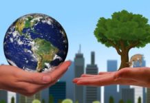 Lazio, concluso il percorso di co-design INFEAS: in arrivo una nuova legge regionale Lazio co-design INFEAS