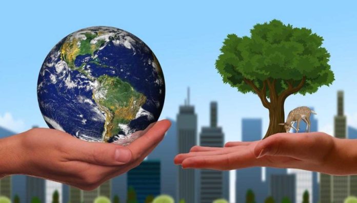 Lazio co-design INFEAS Lazio co-design INFEAS