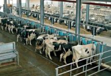 Emissioni climalteranti Italia: il 63% del metano arriva dalla filiera agroalimentare Legambiente filiera alimentare italiana metano