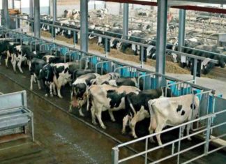 Emissioni climalteranti Italia: il 63% del metano arriva dalla filiera agroalimentare Legambiente filiera alimentare italiana metano