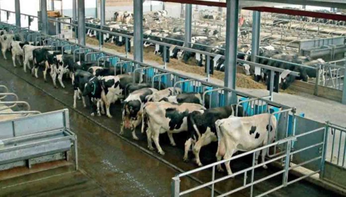 Legambiente filiera alimentare italiana metano