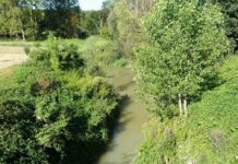 Piemonte, presentata l’edizione 2026 del bando “AcqueVive” da 3 milioni di euro Piemonte bando “AcqueVive”