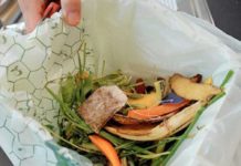 Organico, dal Cic un position paper per efficientare il riciclo Rifiuti organici CIC riciclo Italia