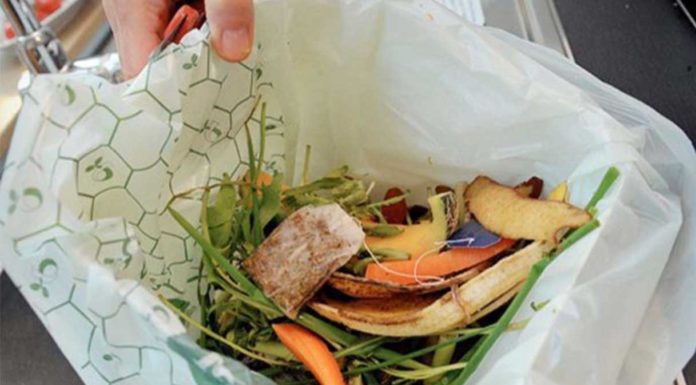 Rifiuti organici, il CIC presenta un position paper sull’efficienza del riciclo in Italia Rifiuti organici CIC riciclo Italia