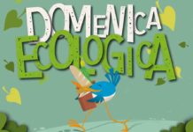 Roma, il 9 novembre torna la prima domenica ecologica della stagione invernale Roma 9 novembre domenica ecologica
