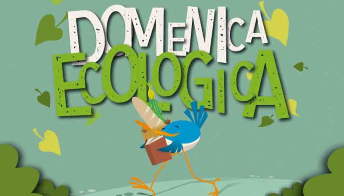 Roma 9 novembre domenica ecologica Roma 9 novembre domenica ecologica