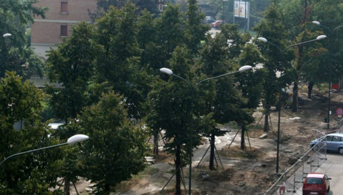 Torino proposta popolare articolo Regolamento Verde Torino proposta popolare articolo Regolamento Verde