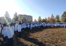 Verona, nasce il Parco Santa Teresa, a Borgo Roma 120 nuovi alberi al posto del cemento Verona Parco Santa Teresa 120 alberi