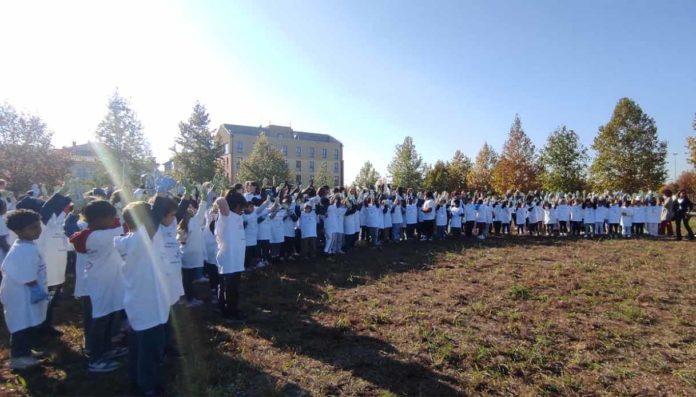 Verona Parco Santa Teresa 120 alberi