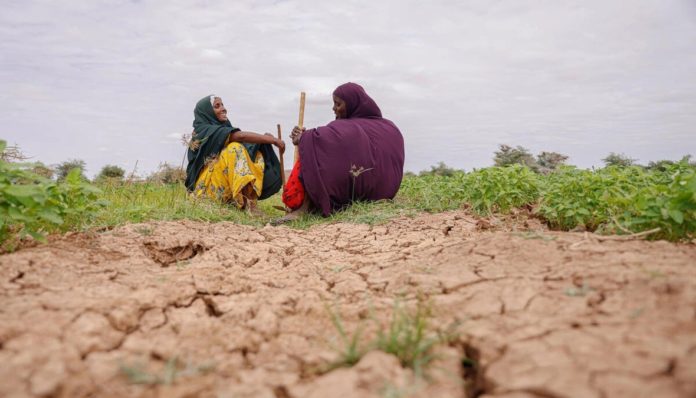 WhatsApp Image 2025-11-13 at 10.46.11