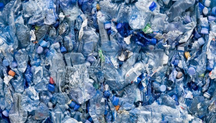 WhatsApp Image 2025-11-13 at 14.35.49 Polieco crisi riciclo plastica