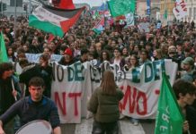 Sciopero per il clima e contro il governo, più di un migliaio a Torino: alcune voci dal corteo