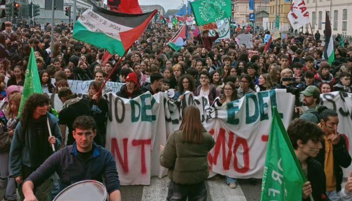 WhatsApp Image 2025-11-14 at 13.15.45