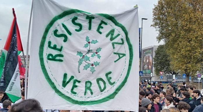 Difesa del verde e ripudio della guerra: i comitati torinesi al corteo del 14 novembre difesa verde ripudio guerra