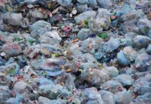 La Regione Sicilia si attiva sulla crisi del riciclo della plastica