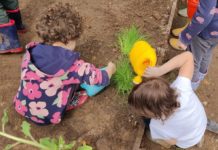Quattro nuovi “Angoli di biodiversità”nelle scuole dell’infanzia di Milano Angoli biodiversità scuole infanzia Milano