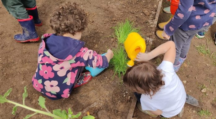 Quattro nuovi “Angoli di biodiversità”nelle scuole dell’infanzia di Milano Angoli biodiversità scuole infanzia Milano