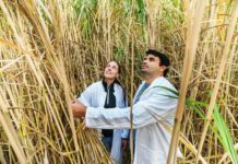 Bioeconomia europea, da Torino il manifesto per una nuova strategia Ue