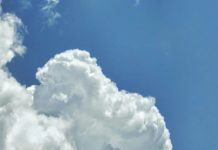 Monitoraggio ozono a Torino: dati finali al Cecchi il 19 novembre