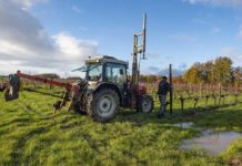Ambientalisti scrivono ai ministri Ue dell’Agricoltura per la sicurezza alimentare ministri ue sicurezza alimentare