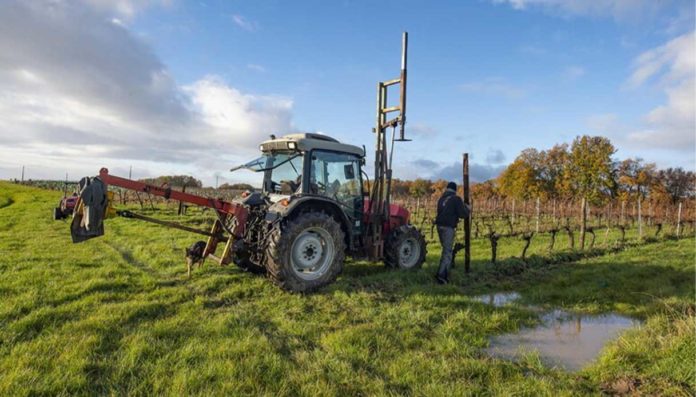 ministri ue sicurezza alimentare ministri ue sicurezza alimentare
