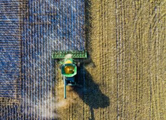 Pisa, Anci: il 25 novembre l’incontro sulle politiche agroalimentari politiche agroalimentari